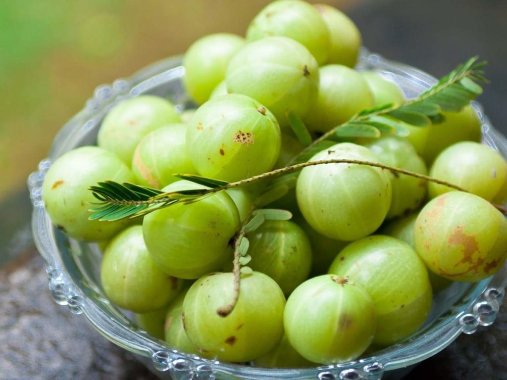 മുടി-കൊഴിച്ചില്‍-തടയാന്‍,-വളരാന്‍-നെല്ലിക്ക-പായ്ക്ക്‌