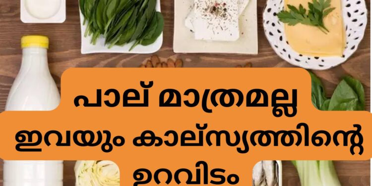 ​പാലില്‍-നിന്നും-മാത്രമല്ല,-ഇവ-കഴിച്ചാലും-കാല്‍സ്യം-ലഭിക്കും​